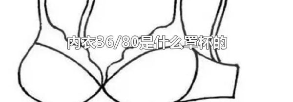 内衣36/80是什么罩杯的