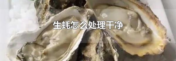 生蚝怎么处理干净