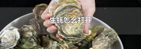 生蚝怎么打开