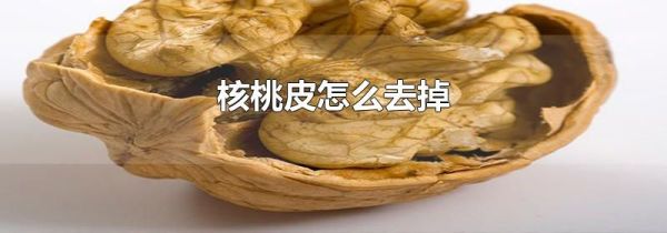核桃皮怎么去掉