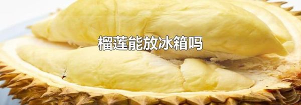 榴莲能放冰箱吗