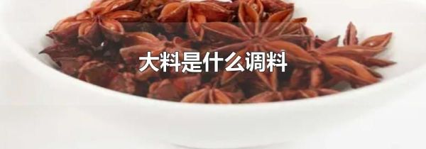 大料是什么调料