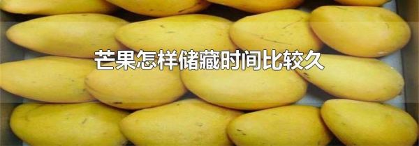 芒果怎样储藏时间比较久