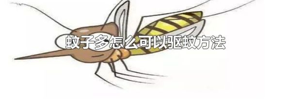 蚊子多怎么可以驱蚊方法