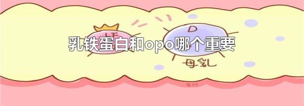 乳铁蛋白和opo哪个重要