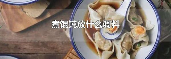 煮馄饨放什么调料