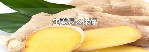 生姜怎么保存