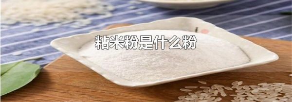 粘米粉是什么粉