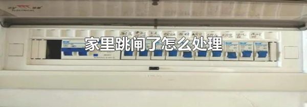 家里跳闸了怎么处理