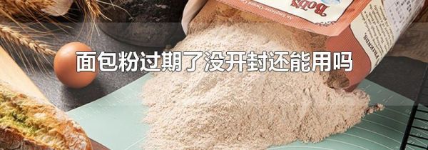 面包粉过期了没开封还能用吗