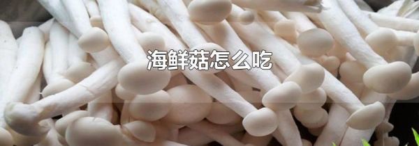 海鲜菇怎么吃