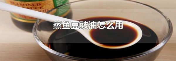蒸鱼豆豉油怎么用
