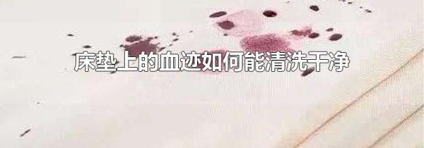 床垫上的血迹如何能清洗干净