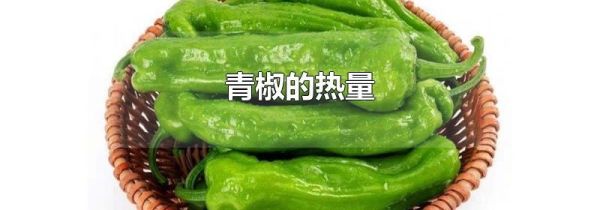 青椒的热量