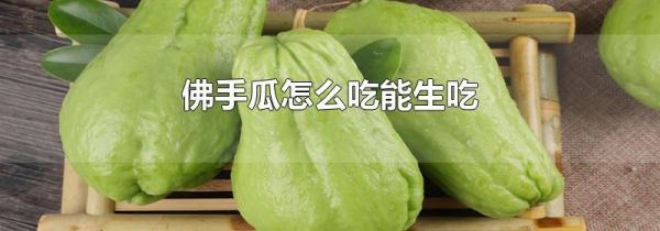 佛手瓜怎么吃能生吃