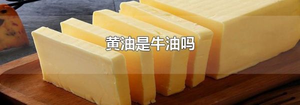 黄油是牛油吗