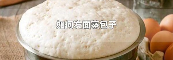如何发面蒸包子