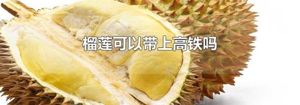 榴莲可以带上高铁吗