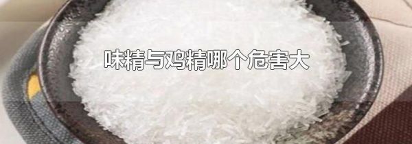 味精与鸡精哪个危害大