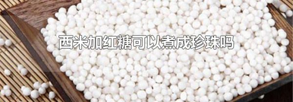 西米加红糖可以煮成珍珠吗