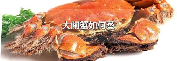 大闸蟹如何蒸