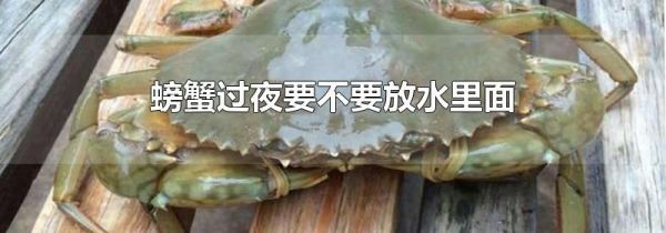 螃蟹过夜要不要放水里面