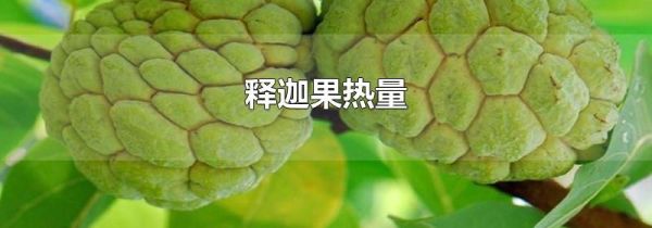 释迦果热量