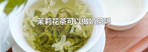 茉莉花茶可以做奶茶吗