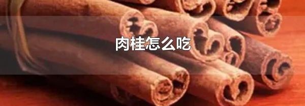 肉桂怎么吃