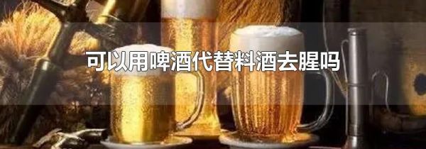 可以用啤酒代替料酒去腥吗