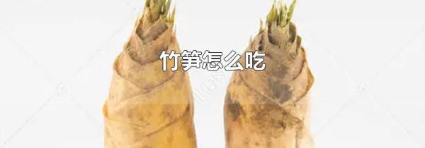 竹笋怎么吃