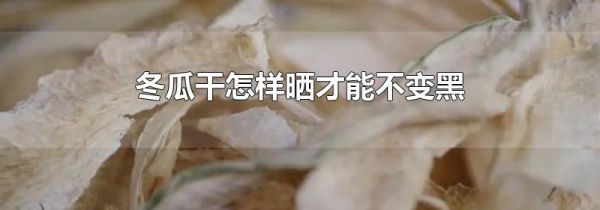 冬瓜干怎样晒才能不变黑