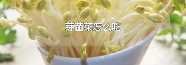 芽苗菜怎么吃