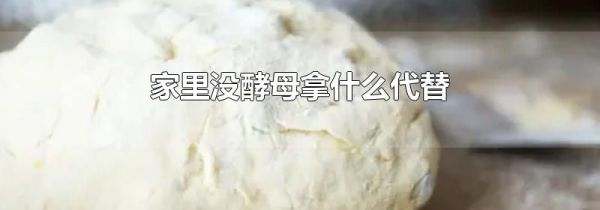 家里没酵母拿什么代替