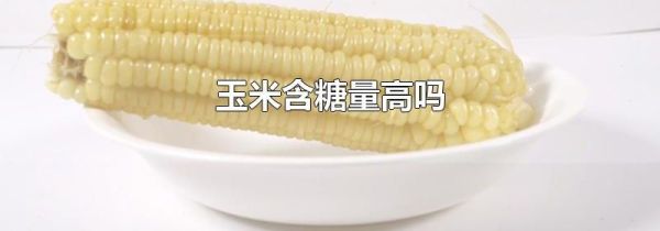 玉米含糖量高吗