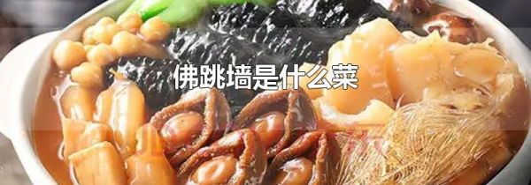 佛跳墙是什么菜