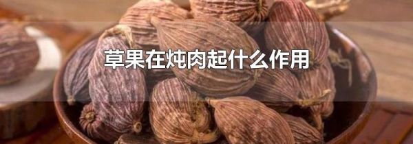 草果在炖肉起什么作用