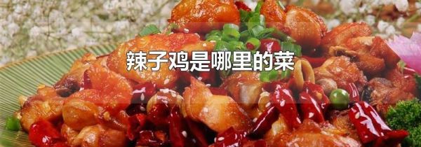辣子鸡是哪里的菜