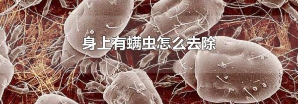 身上有螨虫怎么去除