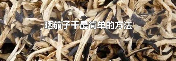 晒茄子干最简单的方法