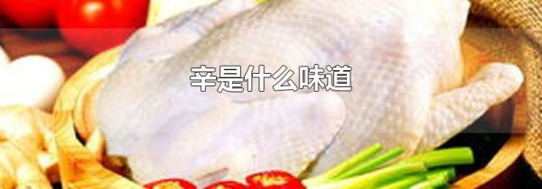 辛是什么味道
