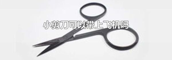 小剪刀可以带上飞机吗