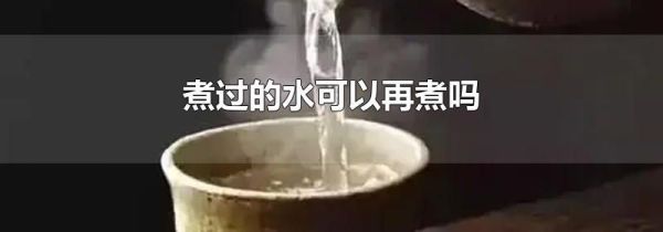 煮过的水可以再煮吗