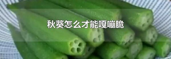 秋葵怎么才能嘎嘣脆