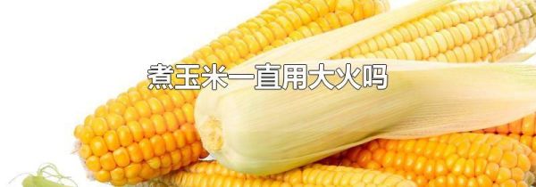 煮玉米一直用大火吗