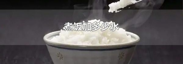 煮饭加多少水