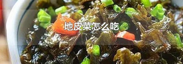 地皮菜怎么吃