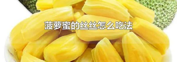 菠萝蜜的丝丝怎么吃法
