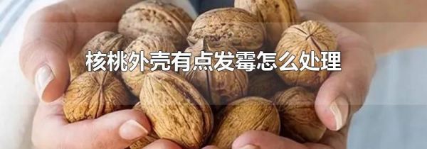 核桃外壳有点发霉怎么处理