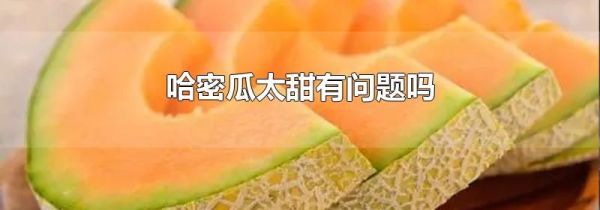 哈密瓜太甜有问题吗